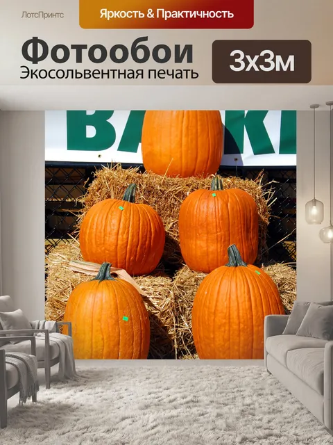 Фотообои Тыквы для продажи