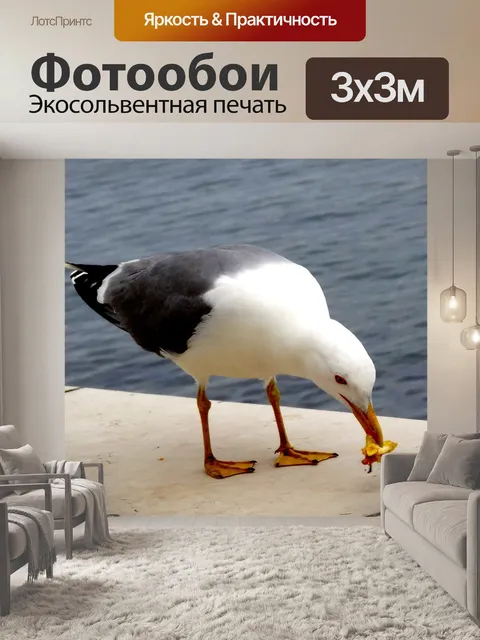 Фотообои Птица