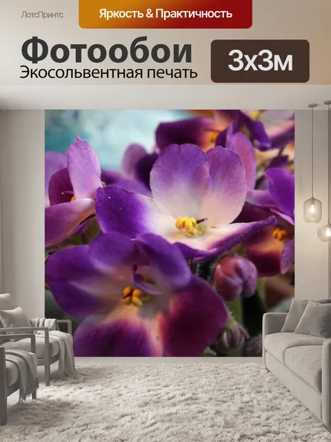 Фотообои Африканец