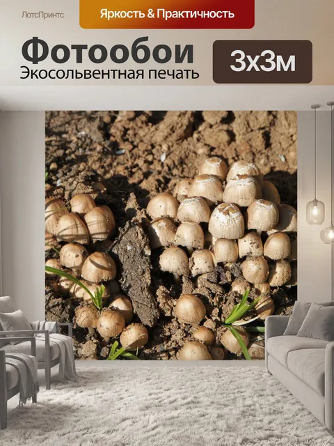 Фотообои Кластеров