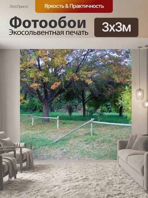 Фотообои Осенью дерево и забор