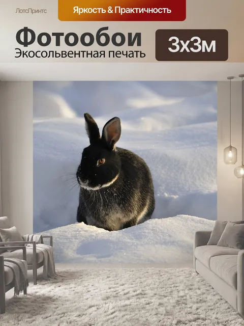 Фотообои Кролик