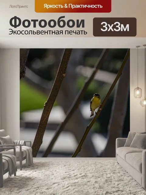 Фотообои Щегол на ветке
