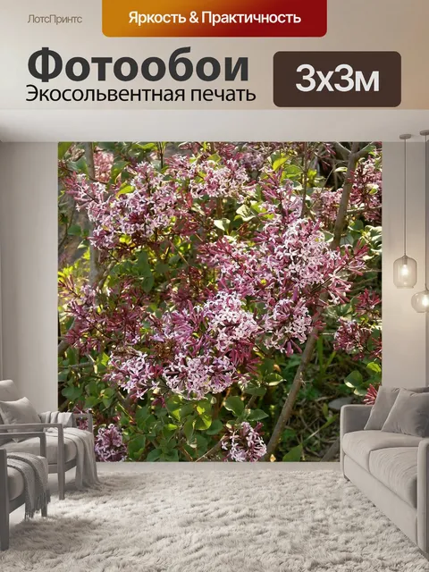 Фотообои Сирень