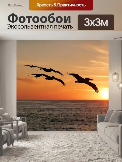 Фотообои Пеликан