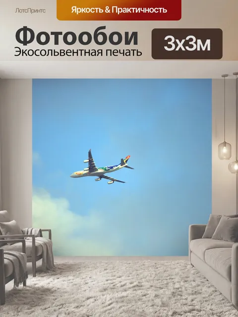 Фотообои пассажирский самолет в небе