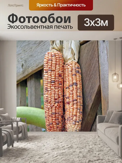 Фотообои Кукуруза