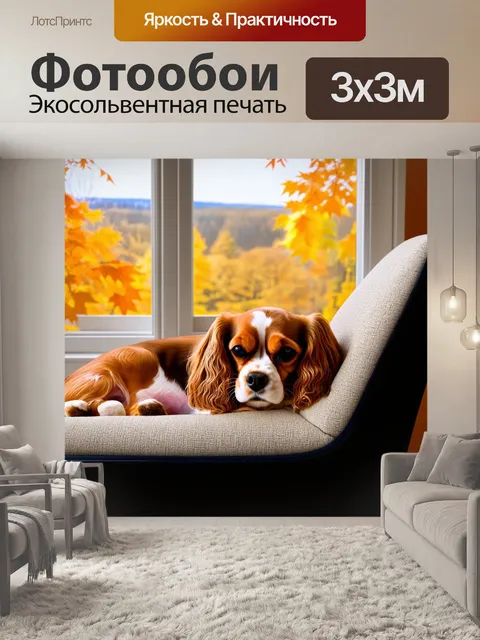 Фотообои напишите изображение кавалера кинг чарльза, спящего на кресле у окна с видом на осенний пейзаж