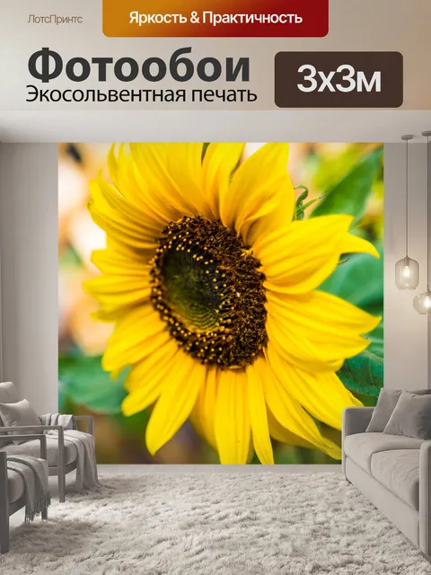 Фотообои подсолнухи