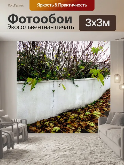 Фотообои Осенние листья
