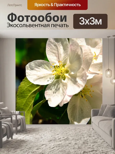 Фотообои Цветение яблони