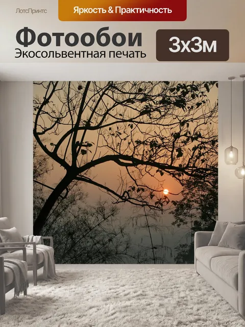 Фотообои Заход солнца