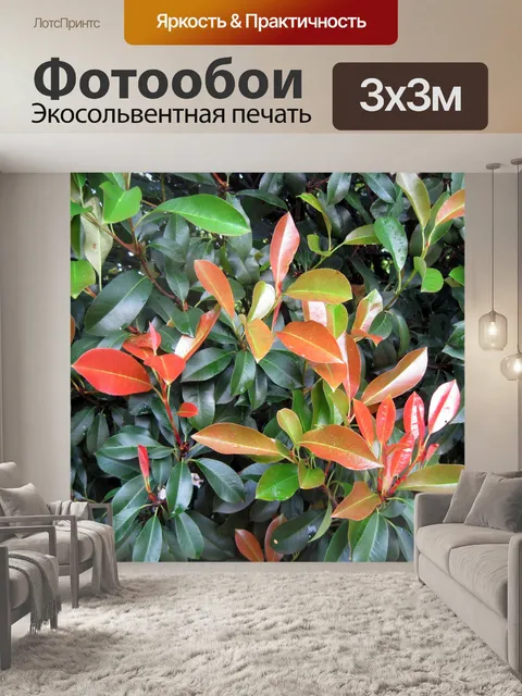 Фотообои кустарник с красной листвой