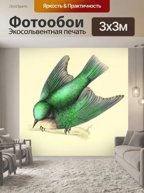 Фотообои Птица ласточка в стиле модерн винтаж