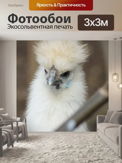 Фотообои Seidenhuhn