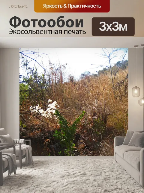 Фотообои яркие белые пушистые семена в природе
