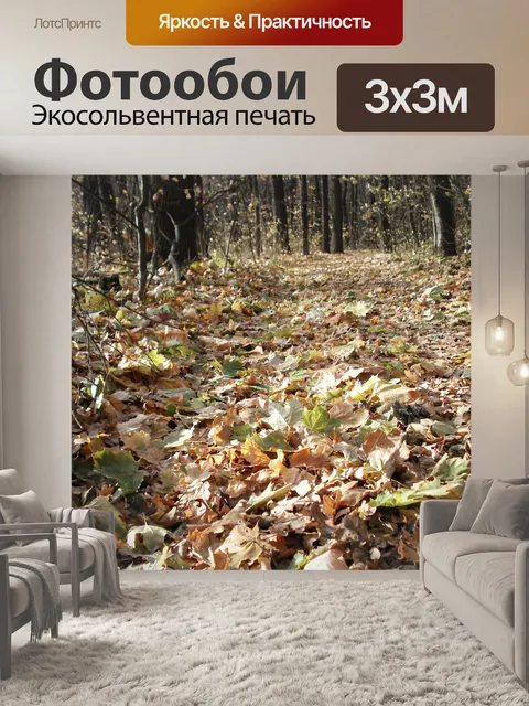 Фотообои Лес