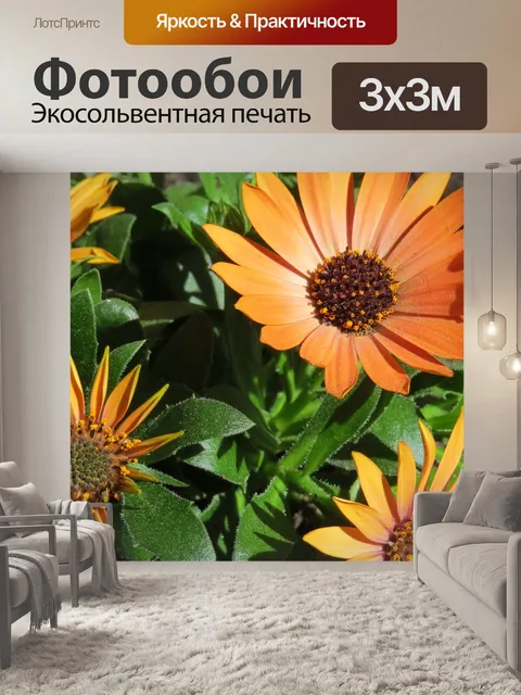 Фотообои Дейзи