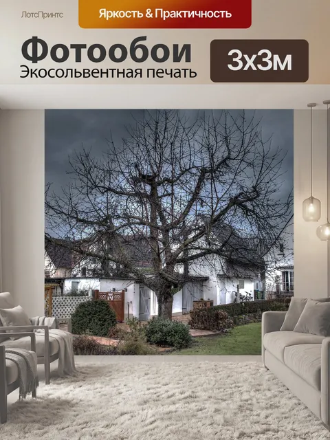 Фотообои Сад