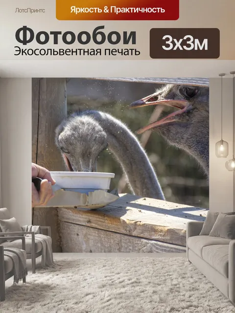 Фотообои Страус