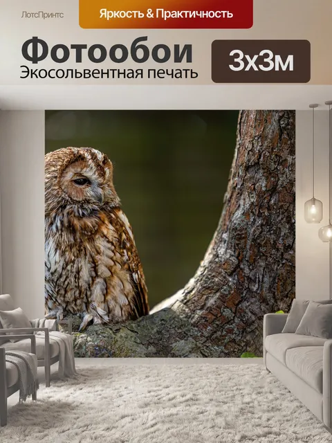 Фотообои Неясыть