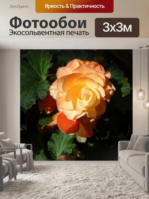 Фотообои Цветок
