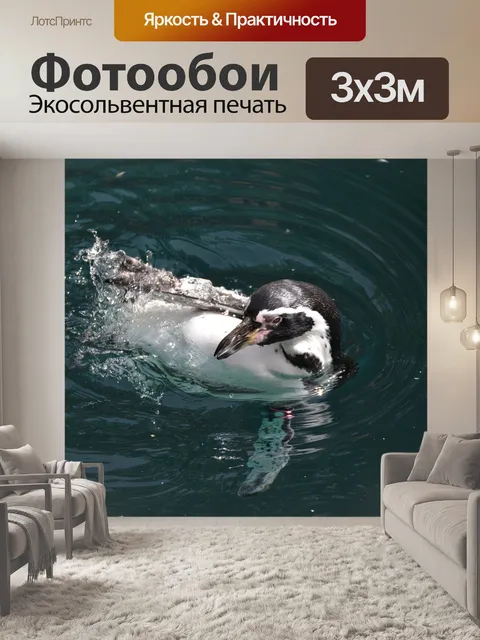 Фотообои Пингвин