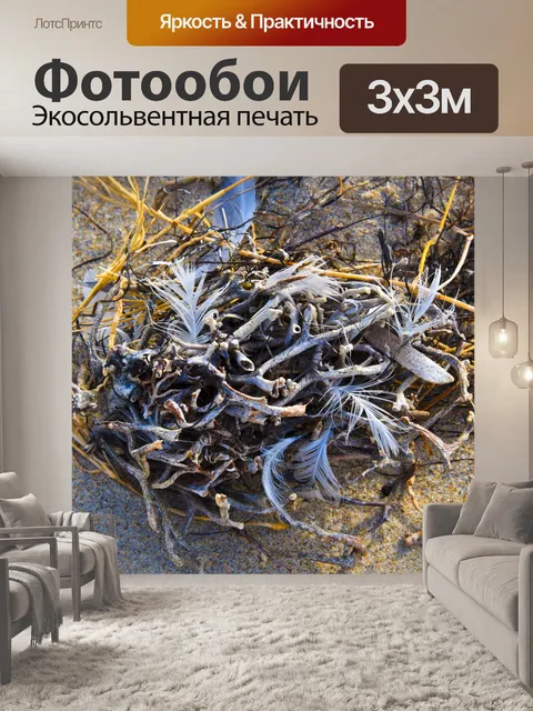 Фотообои Микс из перьев и морских водорослей