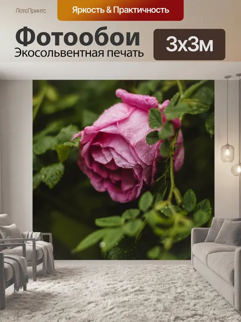 Фотообои Блум