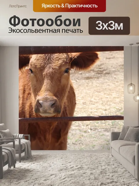 Фотообои Животное