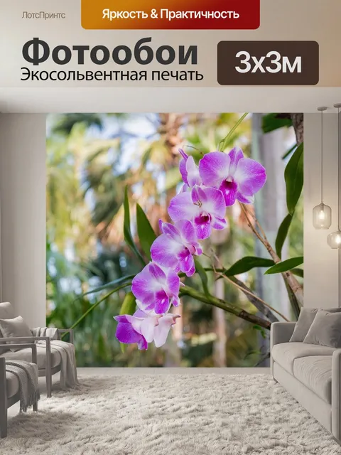 Фотообои Орхидея