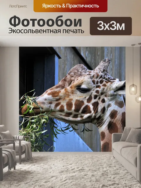 Фотообои жираф ест