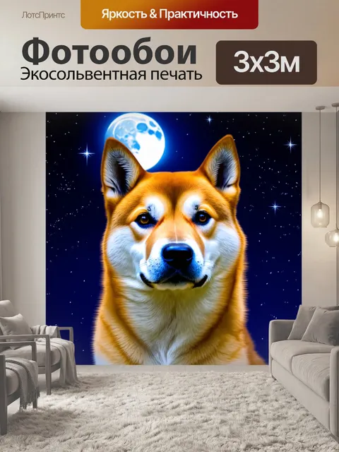 Фотообои сиба ину на фоне звездного ночного неба с луной, освещающей ее мордочку