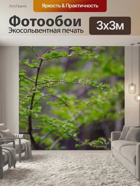 Фотообои Ветвь дерева