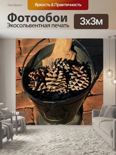 Фотообои сосны конусы и дерево в ведро