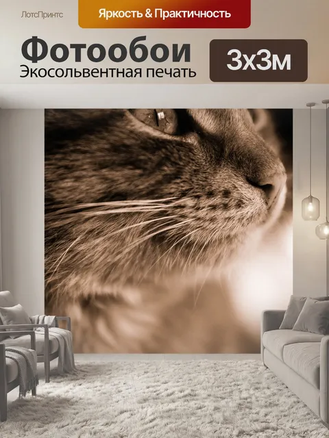 Фотообои Кот