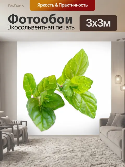 Фотообои Мята
