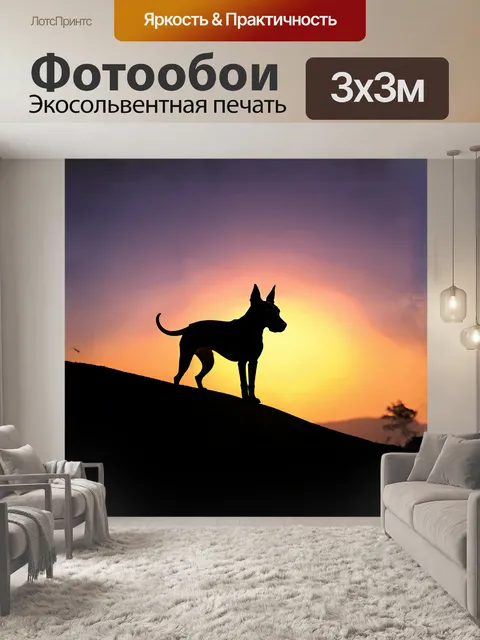 Фотообои силуэт бультерьера, стоящего на холме, окаймлённый ярким закатом