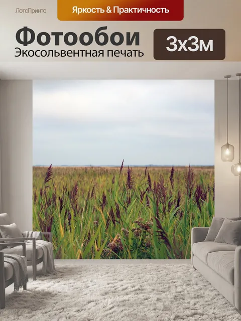 Фотообои Longoog