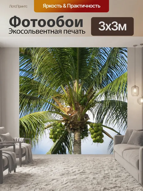 Фотообои Пальма