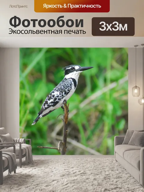 Фотообои Природа