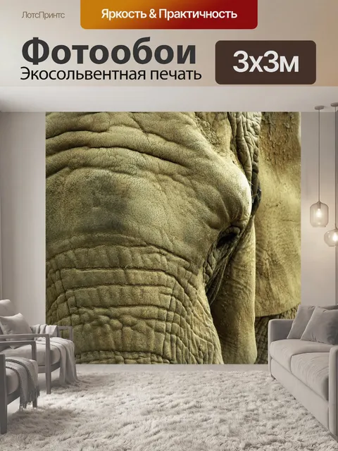 Фотообои Слон