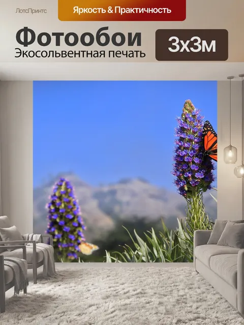 Фотообои Бабочка