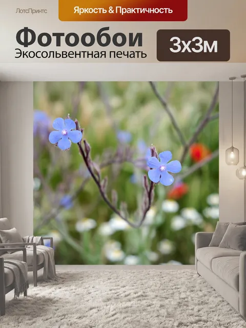 Фотообои Цветы