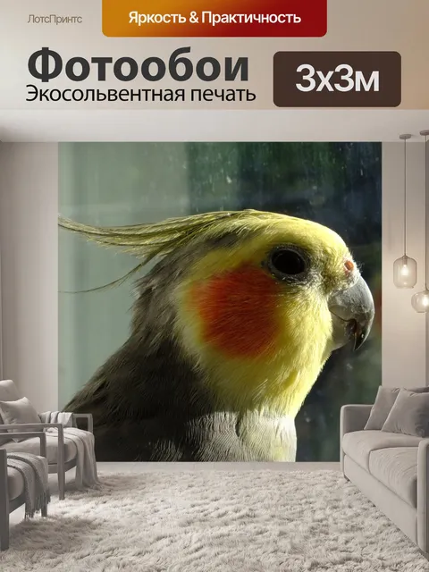 Фотообои Глядя попугая