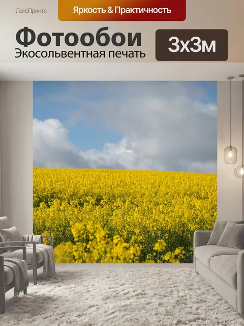Фотообои Область желтого рапса
