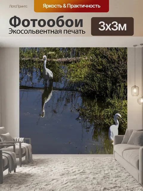 Фотообои Две снежные цапли
