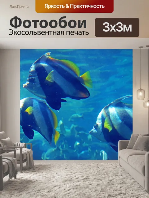 Фотообои черная и белая рыба-риф