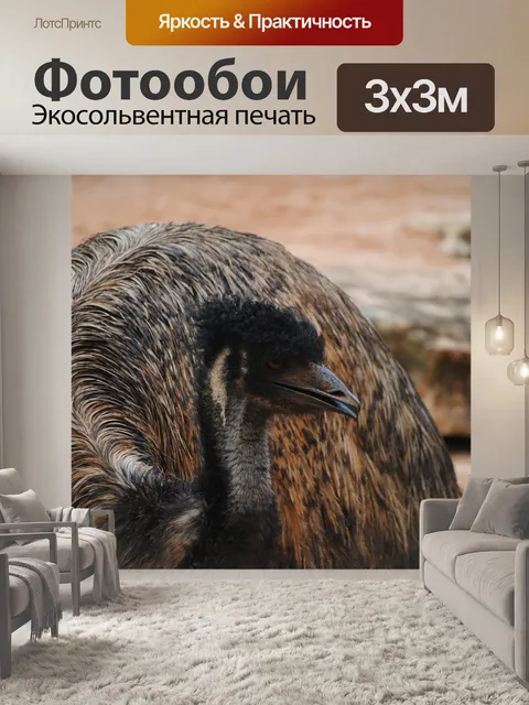 Фотообои Эму