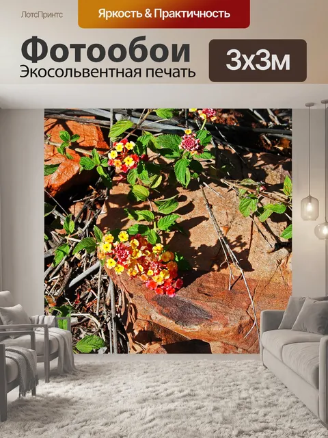 Фотообои цветы захватчика лантана